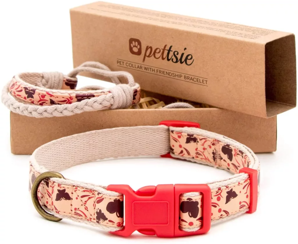 pettsie-matching-dog-collar_best-dog-mom