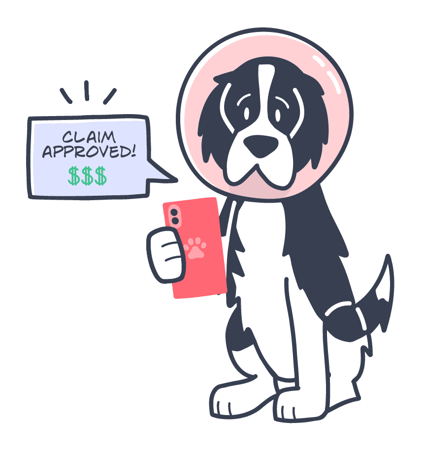 claim-being-approved_how-much-is-pet-insurance