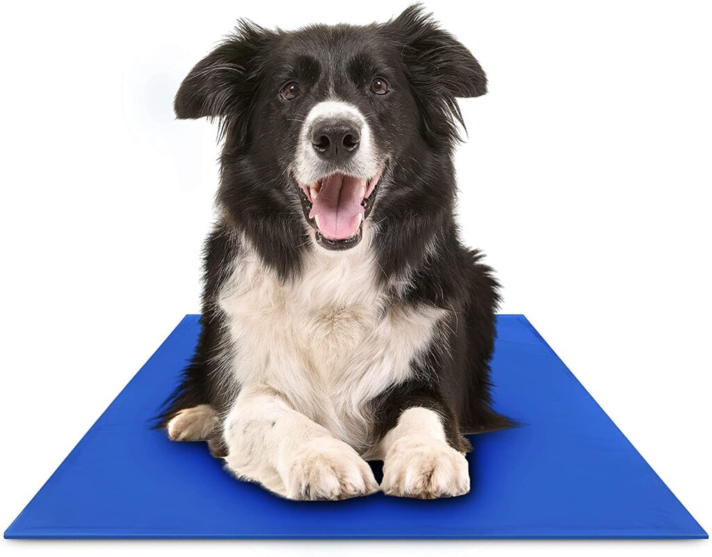 how to use a cooling mat for dogs