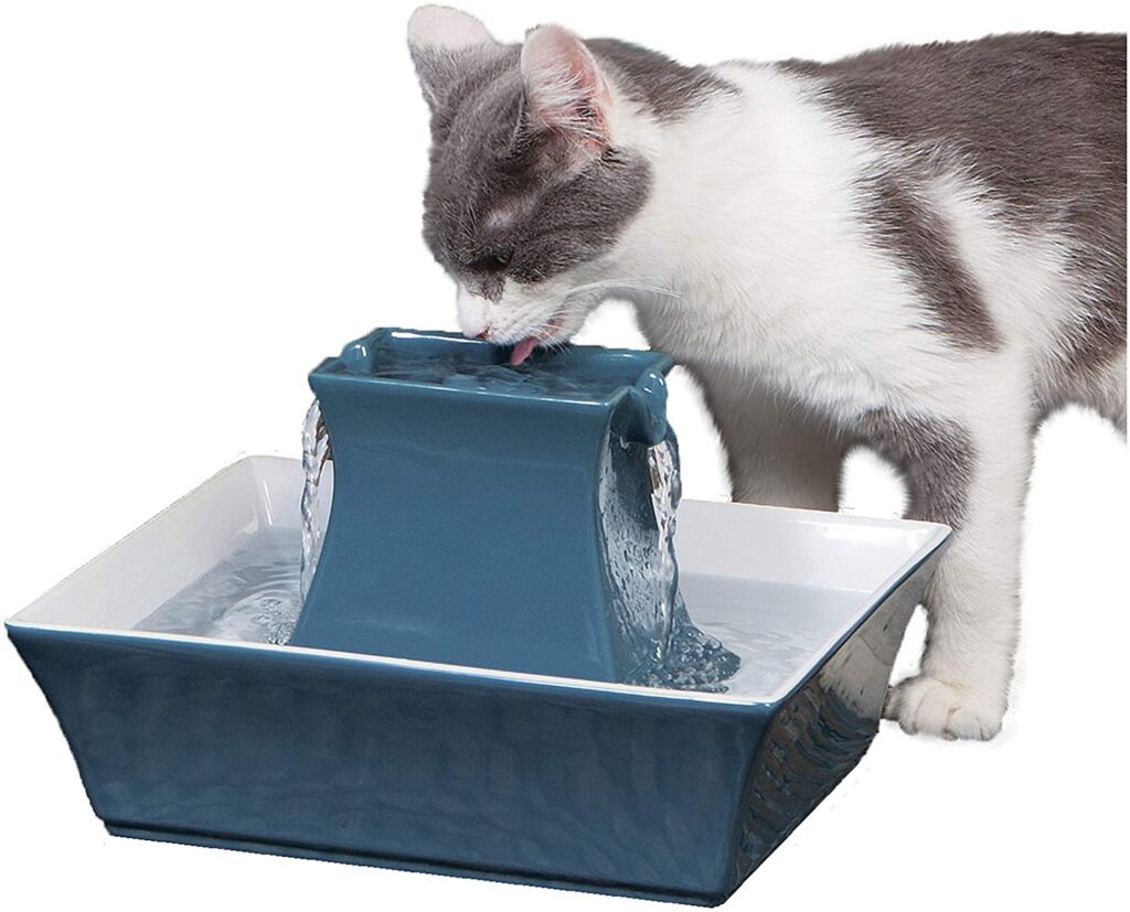 petsafe-cat-and-dog_best-cat-fountain
