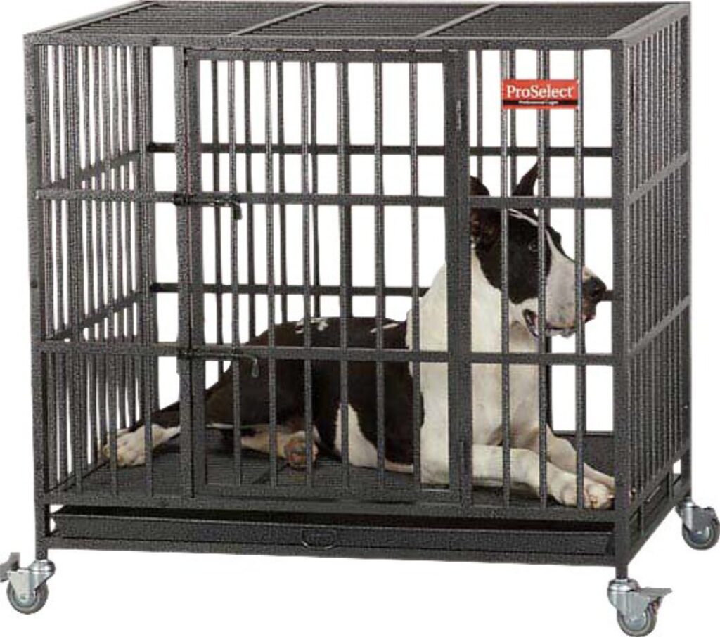 proselect-empire_best-dog-crate