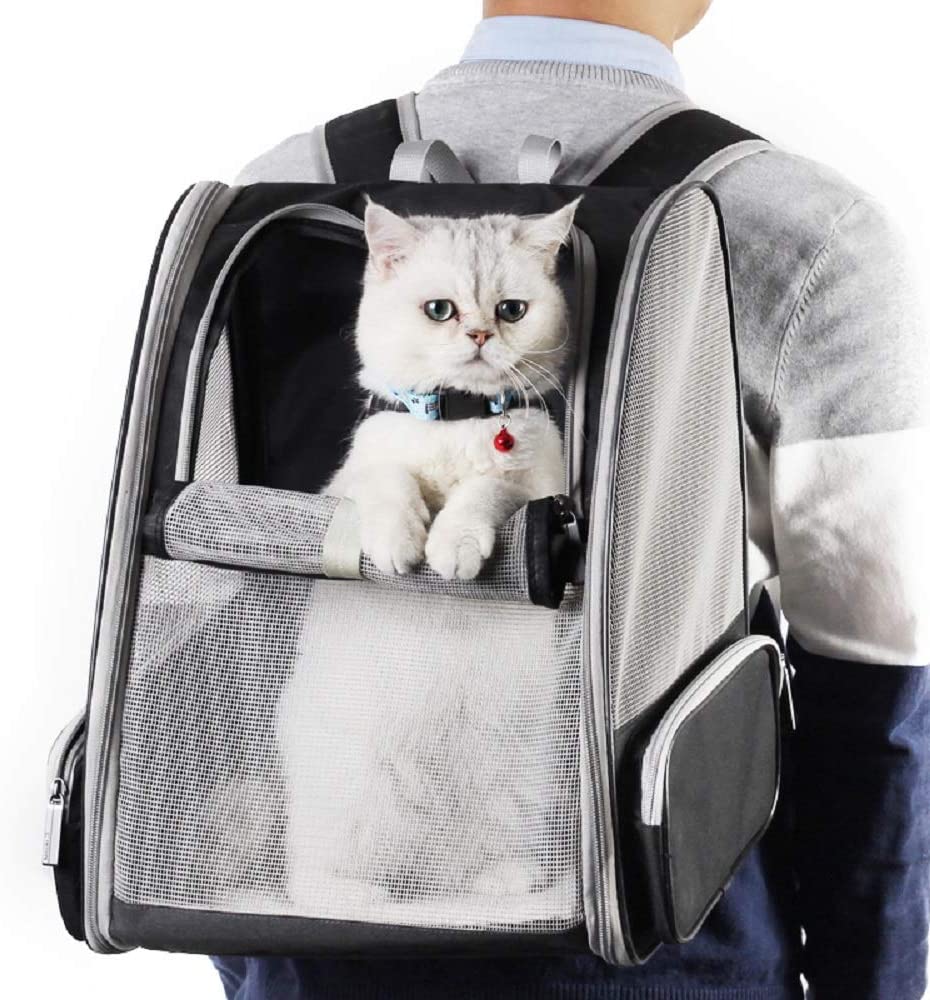 texsens-innovative_best-cat-carriers
