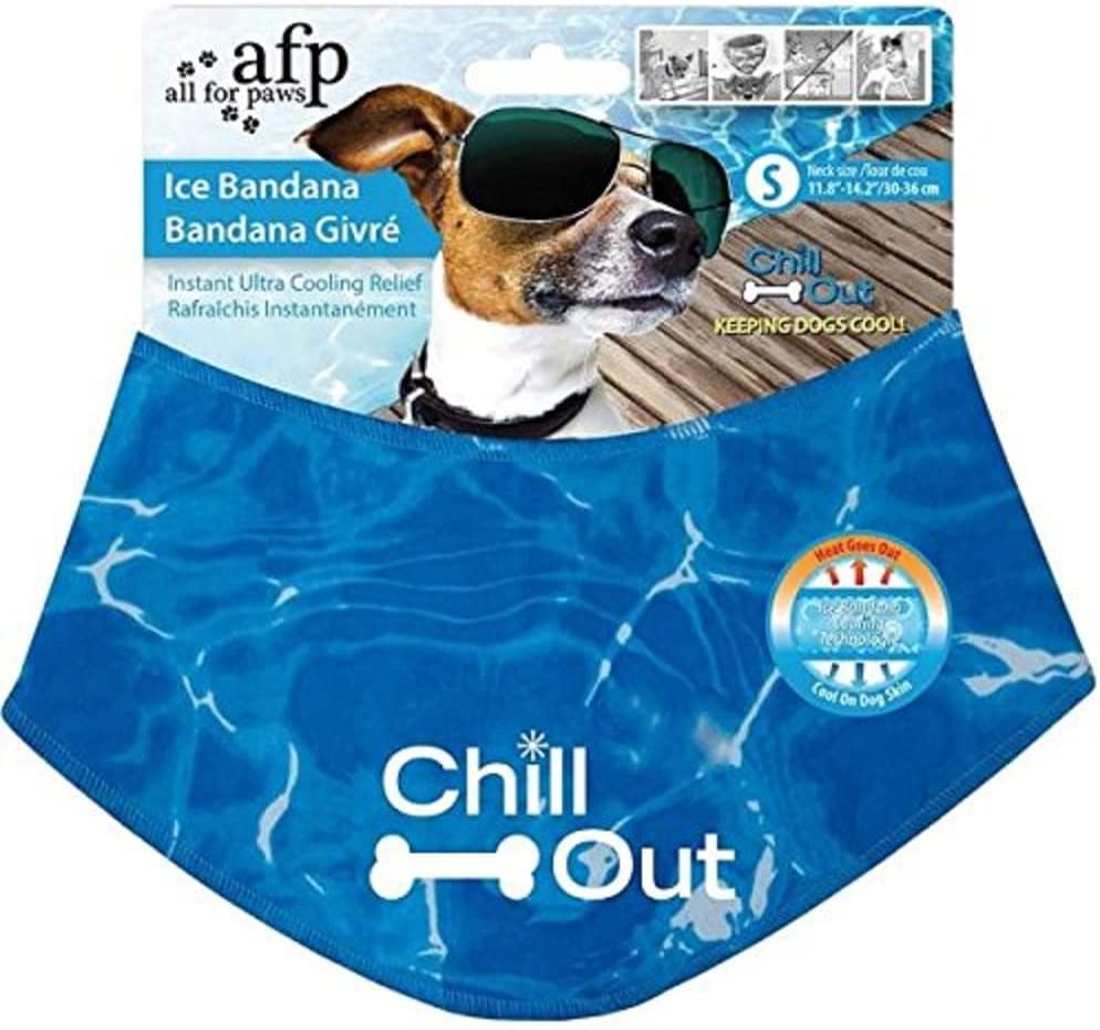 all-for-paws-bandana_summer-essentials-for-dogs