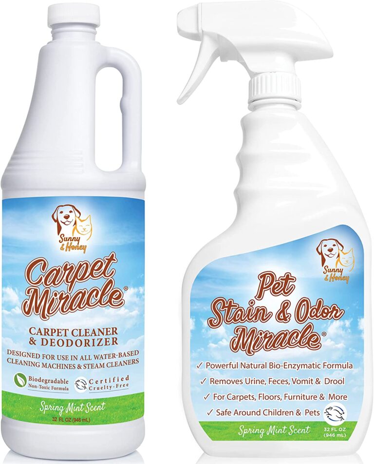 The Best Pet Urine Removers To Use When Accidents Happen — Pumpkin®