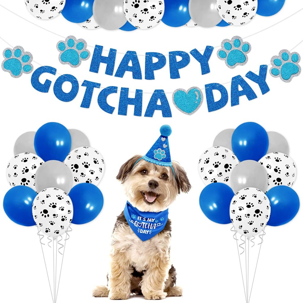 gotcha-day-decorations_gotcha-day