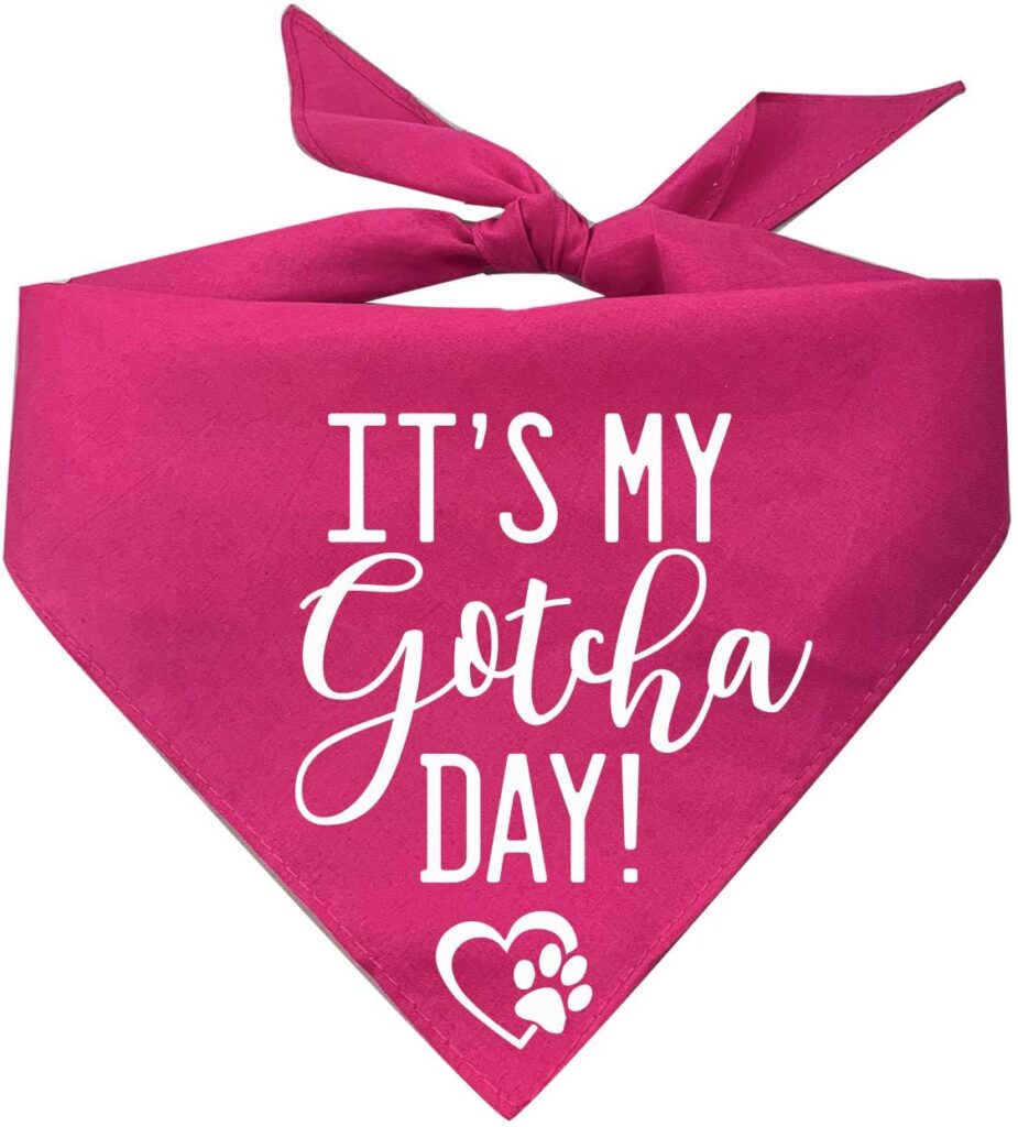 its-my-gotcha-day-bandana_gotcha-day