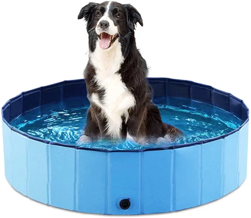 jasonwell-foldable-dog-pool_summer-essentials-for-dogs