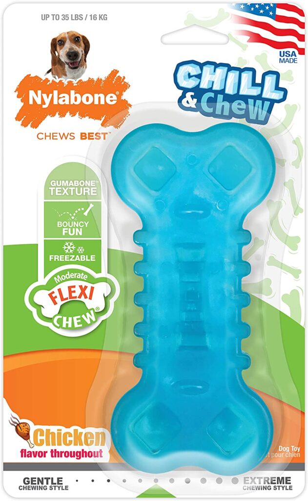 nylabone-chill-chew-toy_summer-essentials-for-dogs