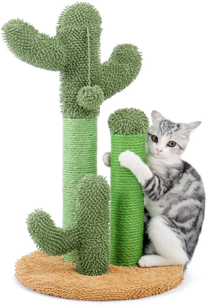 pawz-cactus-scratcher_best-cat-scratching-posts