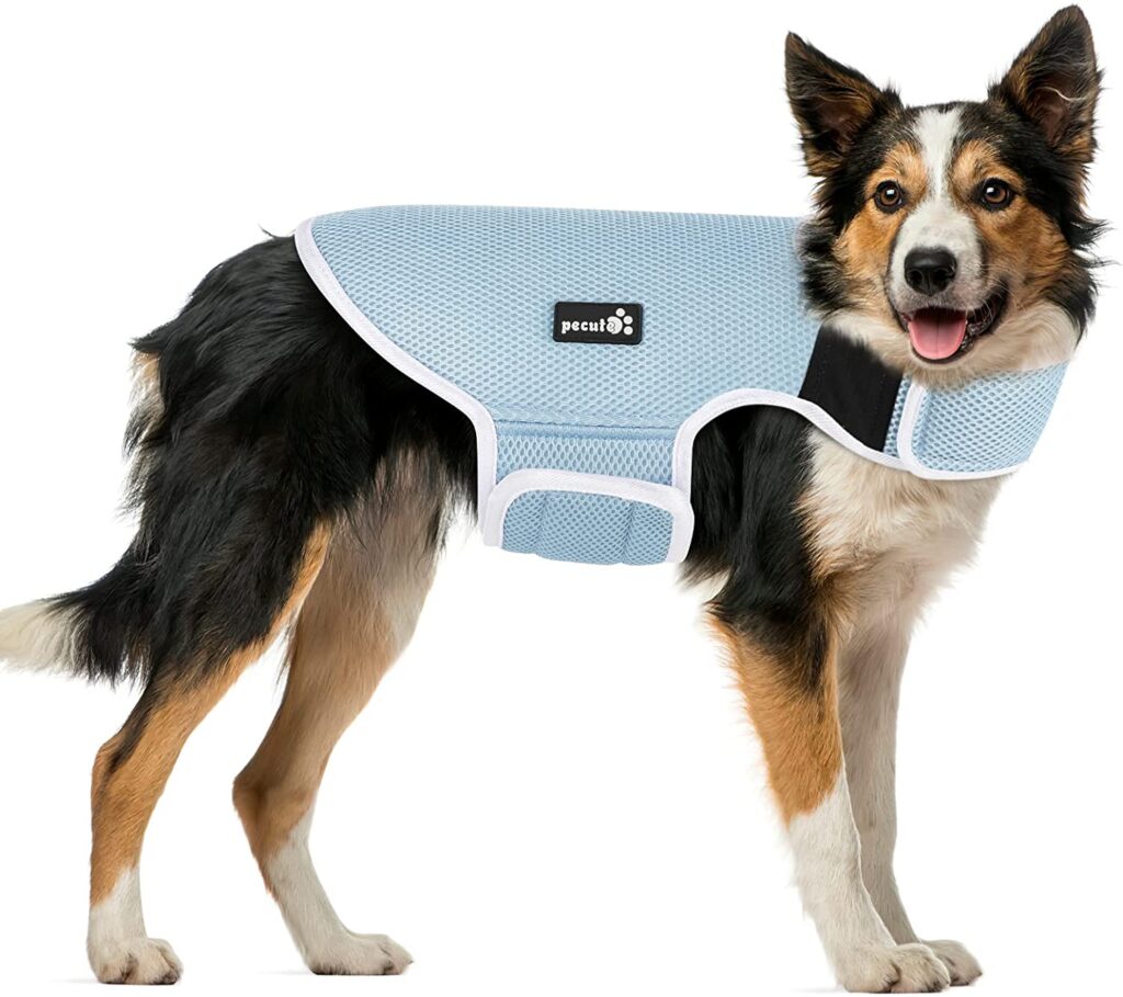 pecute-cooling-vest_summer-essentials-for-dogs