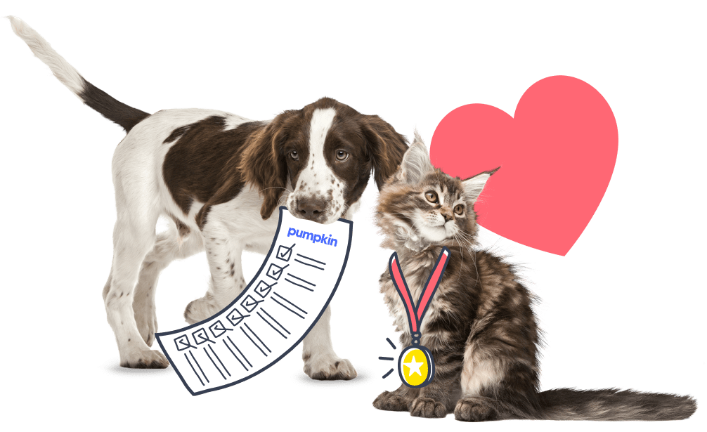 Pet insurance plans covers 90% of covered vet bills.