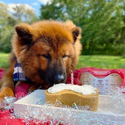 puppy-cake-kit_gotcha-day