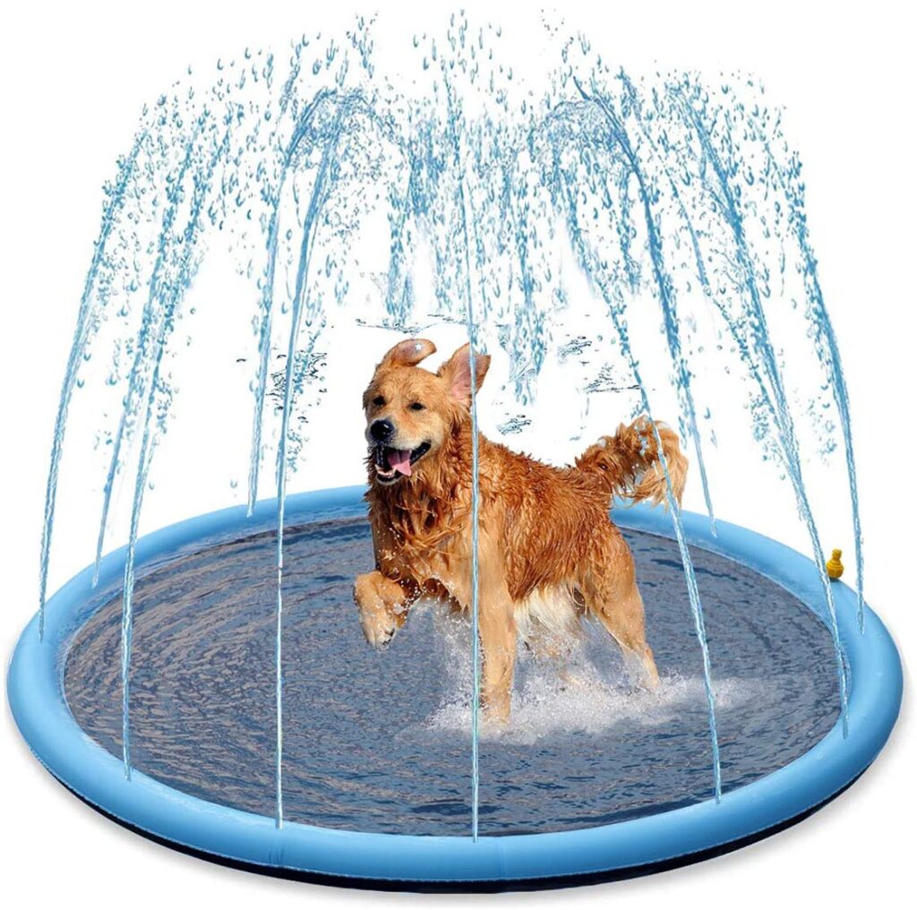 splash-sprinkler-pad_summer-essentials-for-dogs