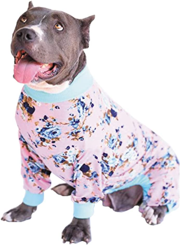 tooth-honey-big-dog-pajamas_dog-pajamas