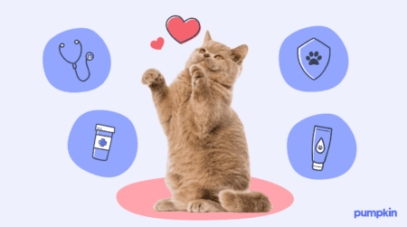 A happy cat playing with illustrated hearts in the air, with pet insurance symbols around to show full insurance coverage.