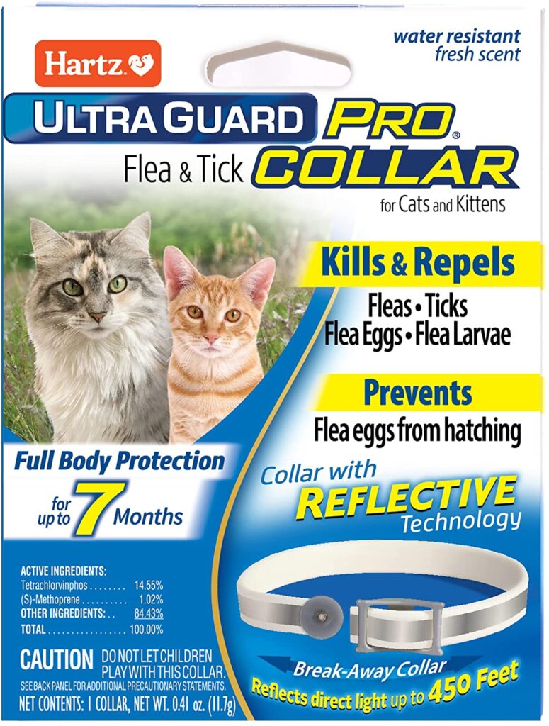 The Best Flea Collars for Cats Pumpkin®