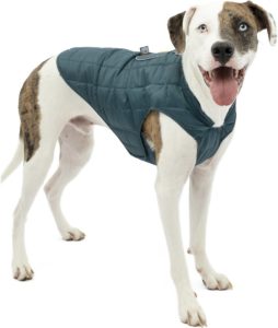 kurgo-loft-reversible_best-dog-raincoats