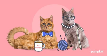 Two senior cats, shown with glasses and grandparent accessories