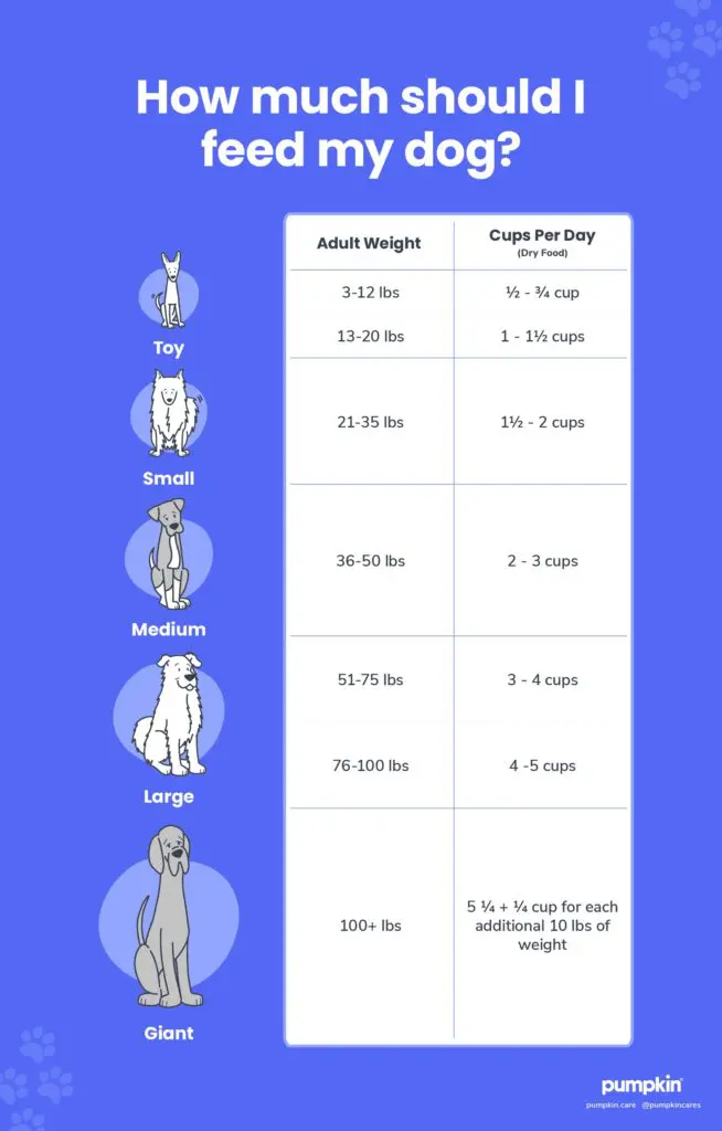 how much should your dog weigh