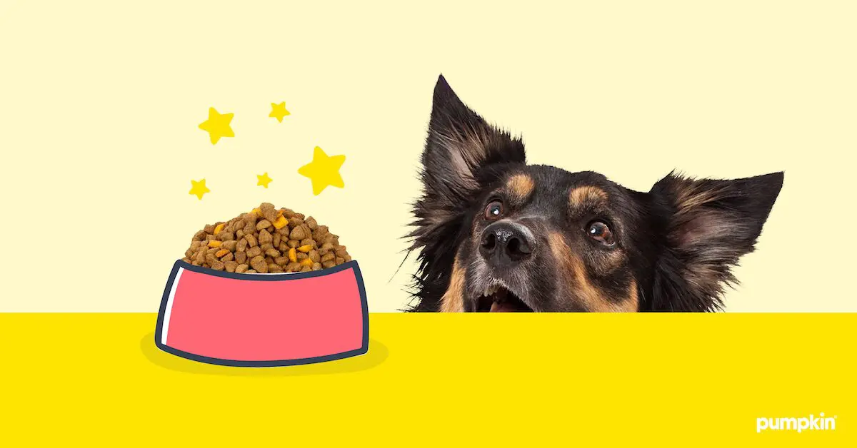 How Much To Feed Your Dog: Vet-Approved Chart — Pumpkin®
