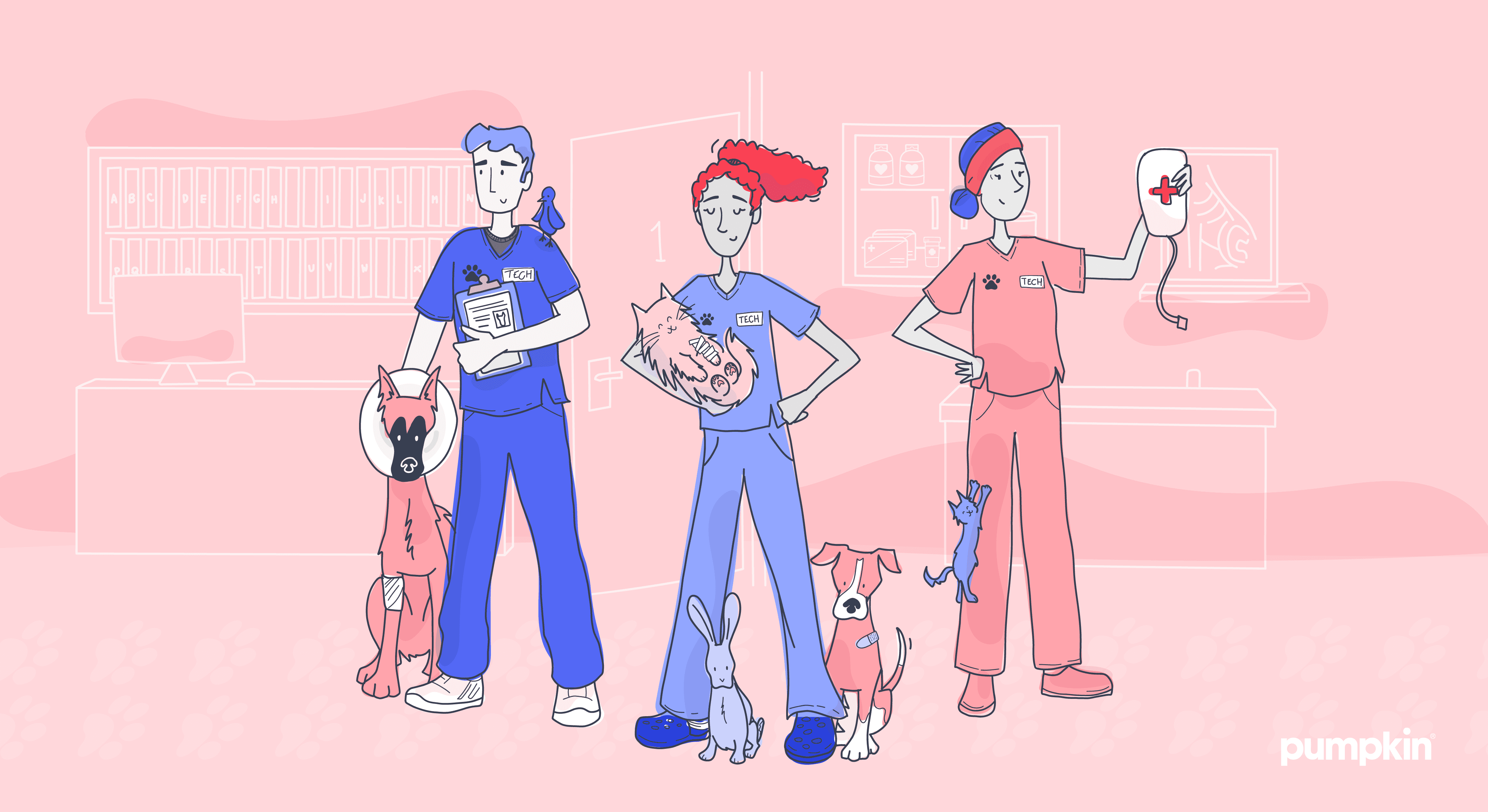 day-in-the-life-of-vet-tech