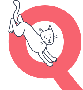cat-pouncing-on-the-letter-q_pet-insurance-terms