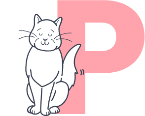 cat-purring-next-to-letter-p_pet-insurance-terms