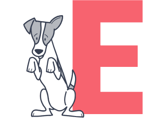 dog-begging-next-to-letter-E_pet-insurance-terms