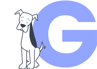 dog-sitting-in-front-of-letter-g_pet-insurance-terms