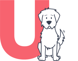 fluffy-dog-sitting-by-letter-u_pet-insurance-terms