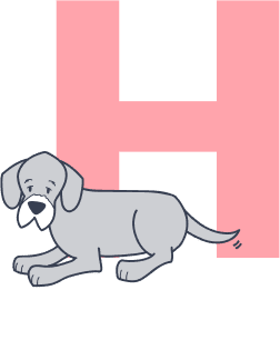 hound-dog-laying-in-front-of-letter-H_pet-insurance-terms
