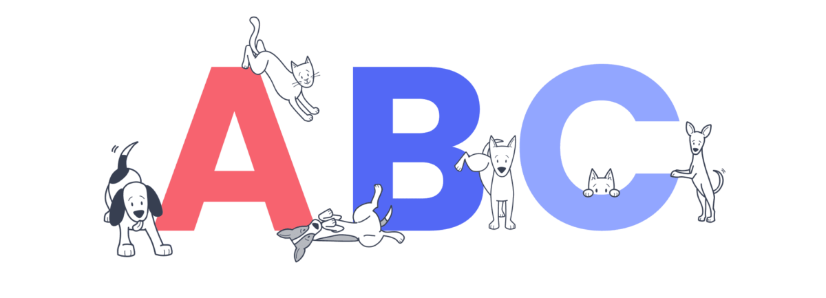 pet-insurance-terms-explained