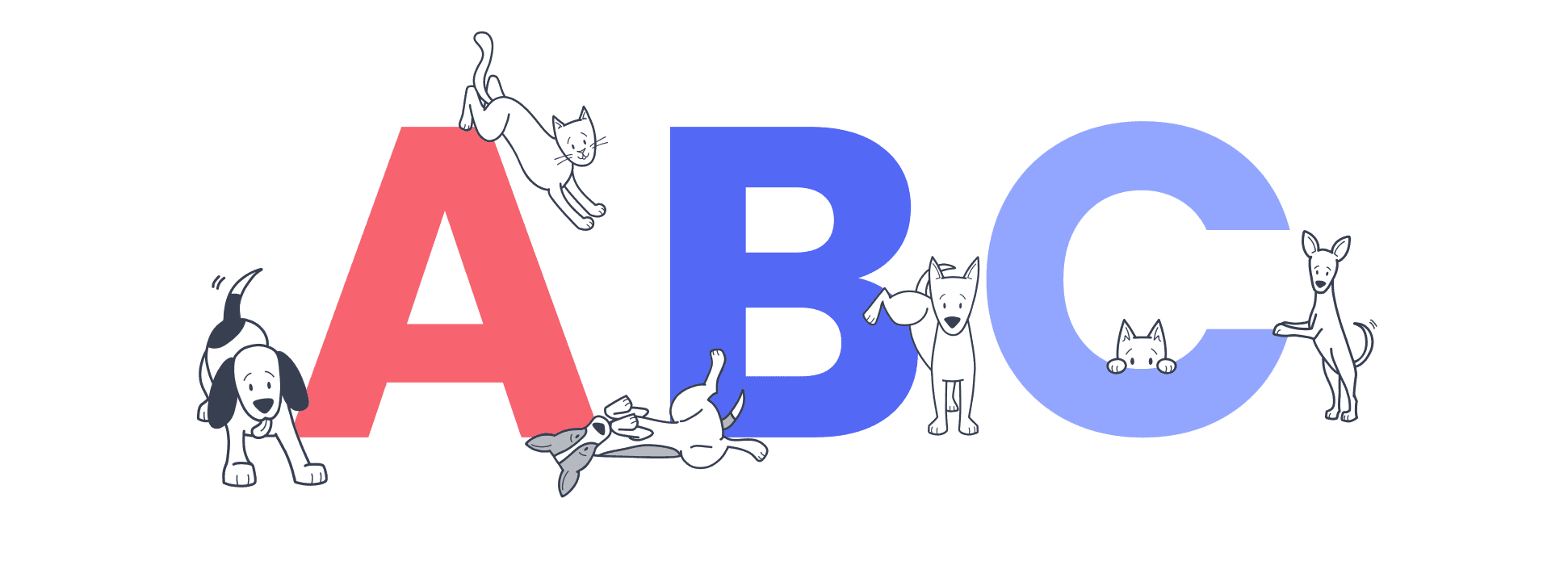 pet-insurance-terms-explained