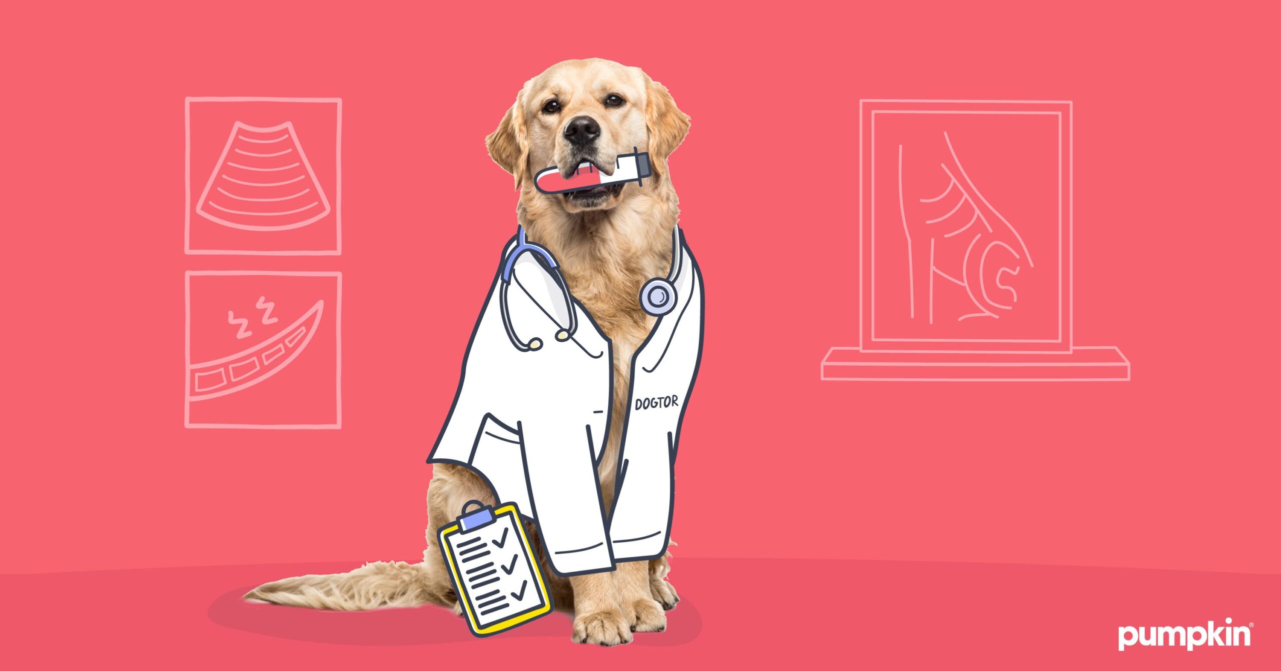 does-pet-insurance-cover-diagnostics