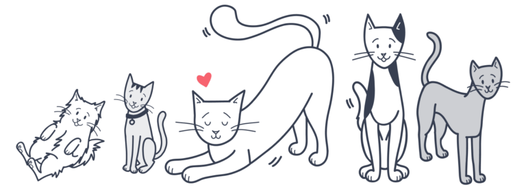 Cat Breeds