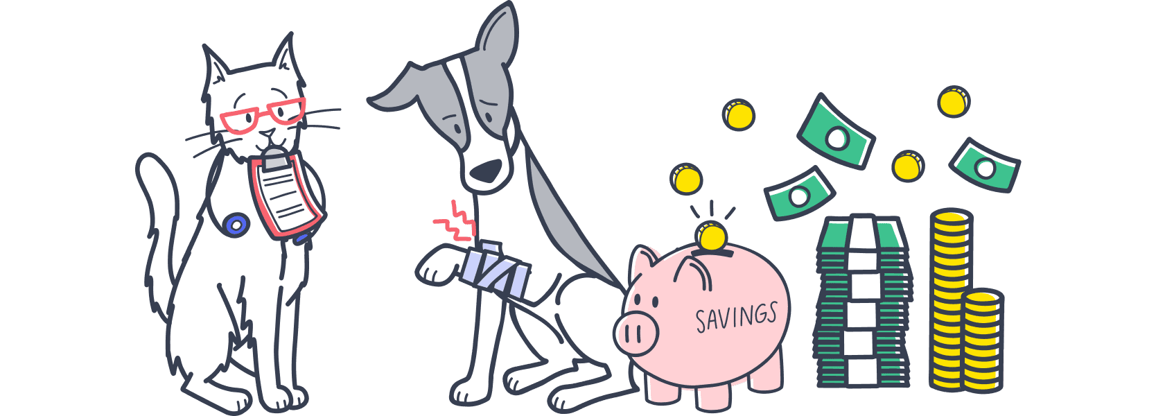 Pet Insurance