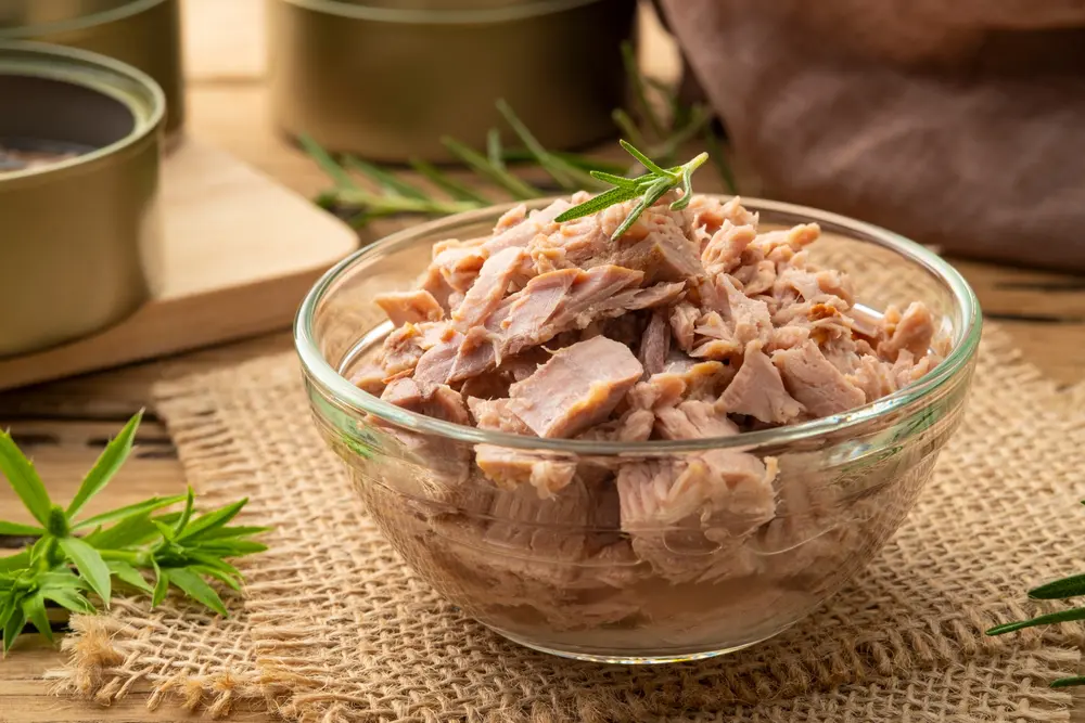 Can Dogs Eat Tuna? A Guide for Dog Owners — Pumpkin®
