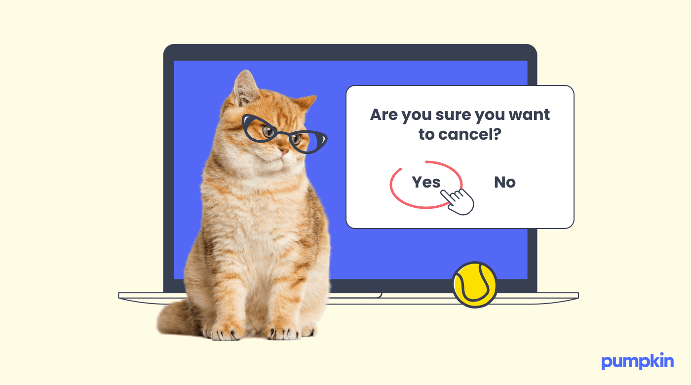 A photo of a cat wearing spectacles in front of an illustrated laptop that reads "are you sure you want to cancel"