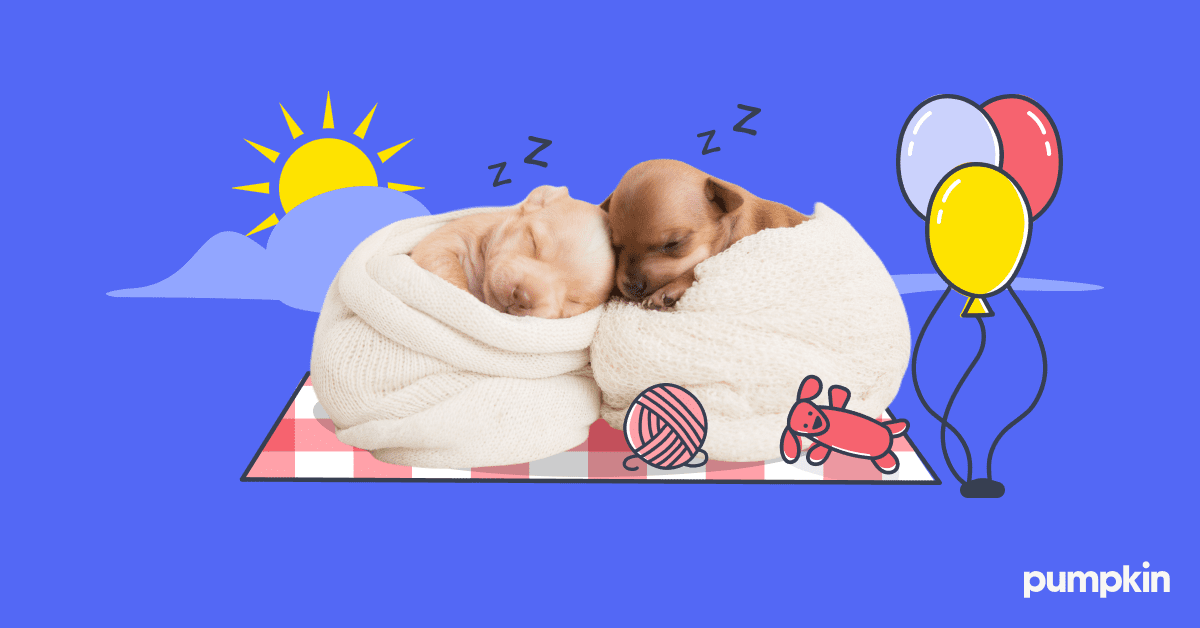 Photograph of two newborn puppies sleeping on an illustrated background