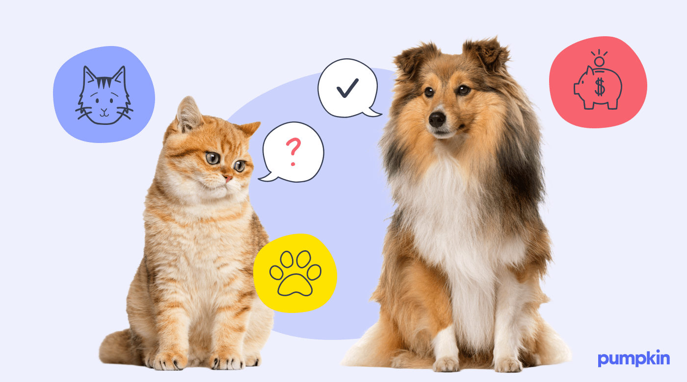 A cat and a dog with illustrated speech bubbles between them and symbols in bubbles that show the advantages of pet preventive care.