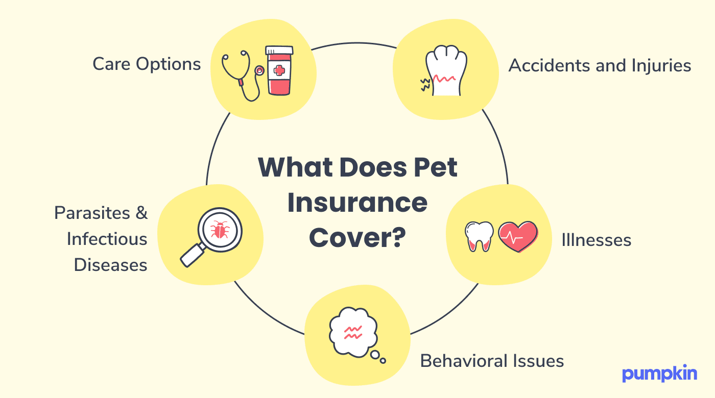 A visualization of the types of things that pet insurance can cover in a circle.