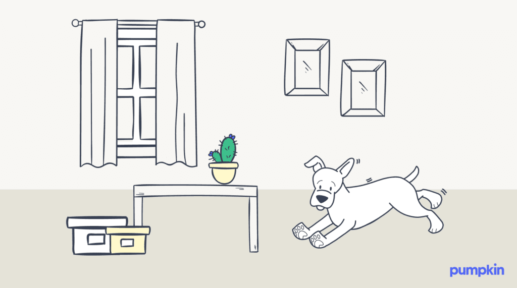 Illustration of a small dog running around a living room containing a table and some boxes on the floor.