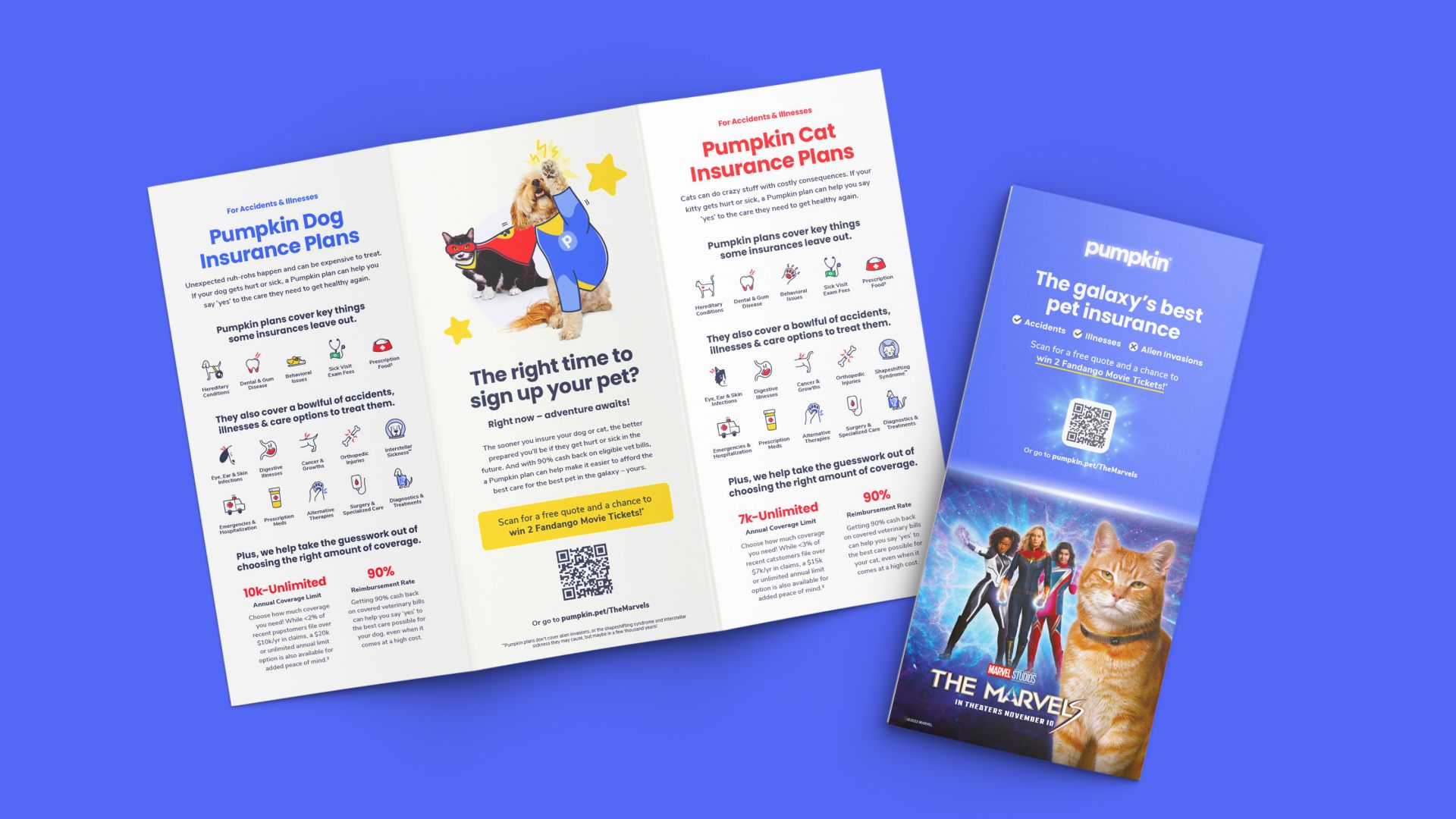 Flat lay image of a pet insurance brochure