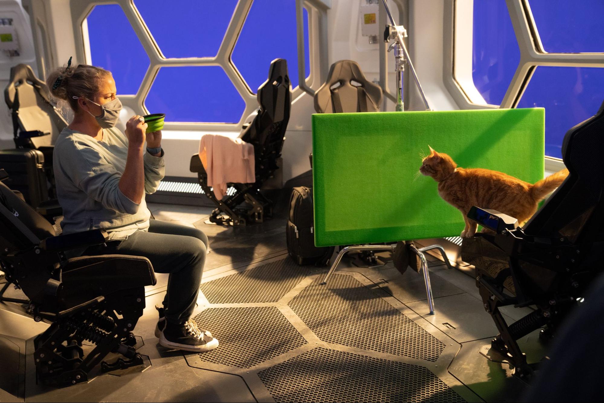 Woman on a movie set directing an orange cat actor in front of a green screen