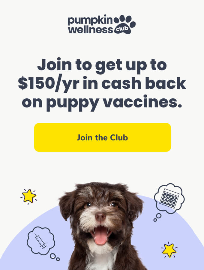 Join to get up to $150/yr in cash back on puppy vaccines. Click the image to learn more about the Pumpkin Wellness Club.