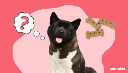 a dog next to a thought bubble with a question mark and dog treats