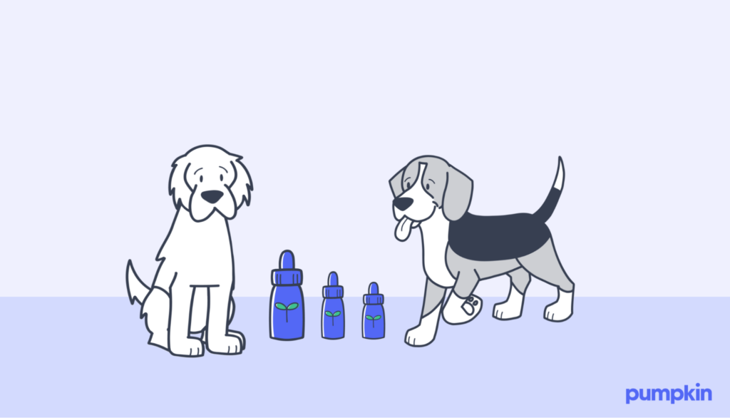 two illustrated dogs beside essential oil bottles