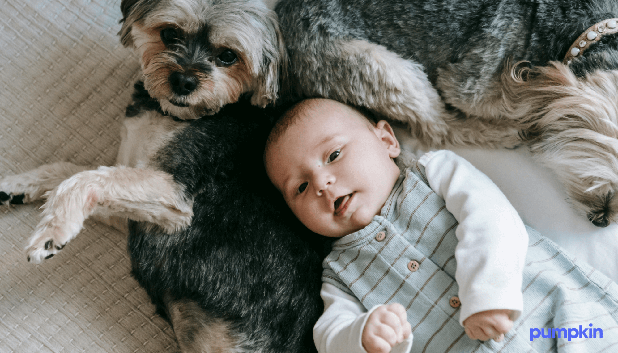 A baby and dog sitting together in a home.