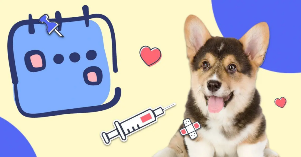 Puppy getting diagnostic blood tests.