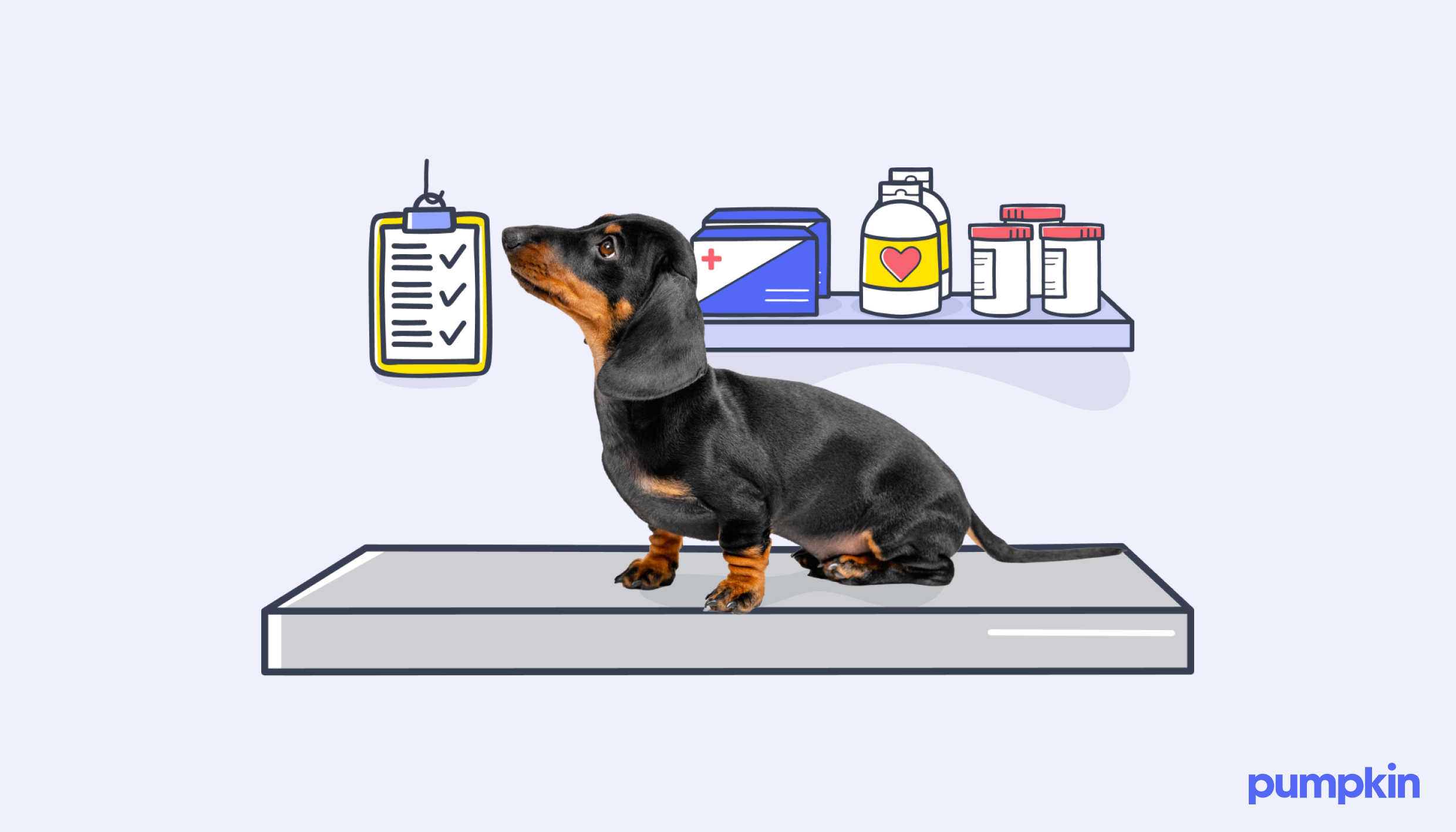 small dog in emergency vet office